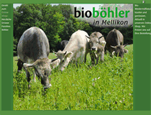 Tablet Screenshot of bioboehler.ch